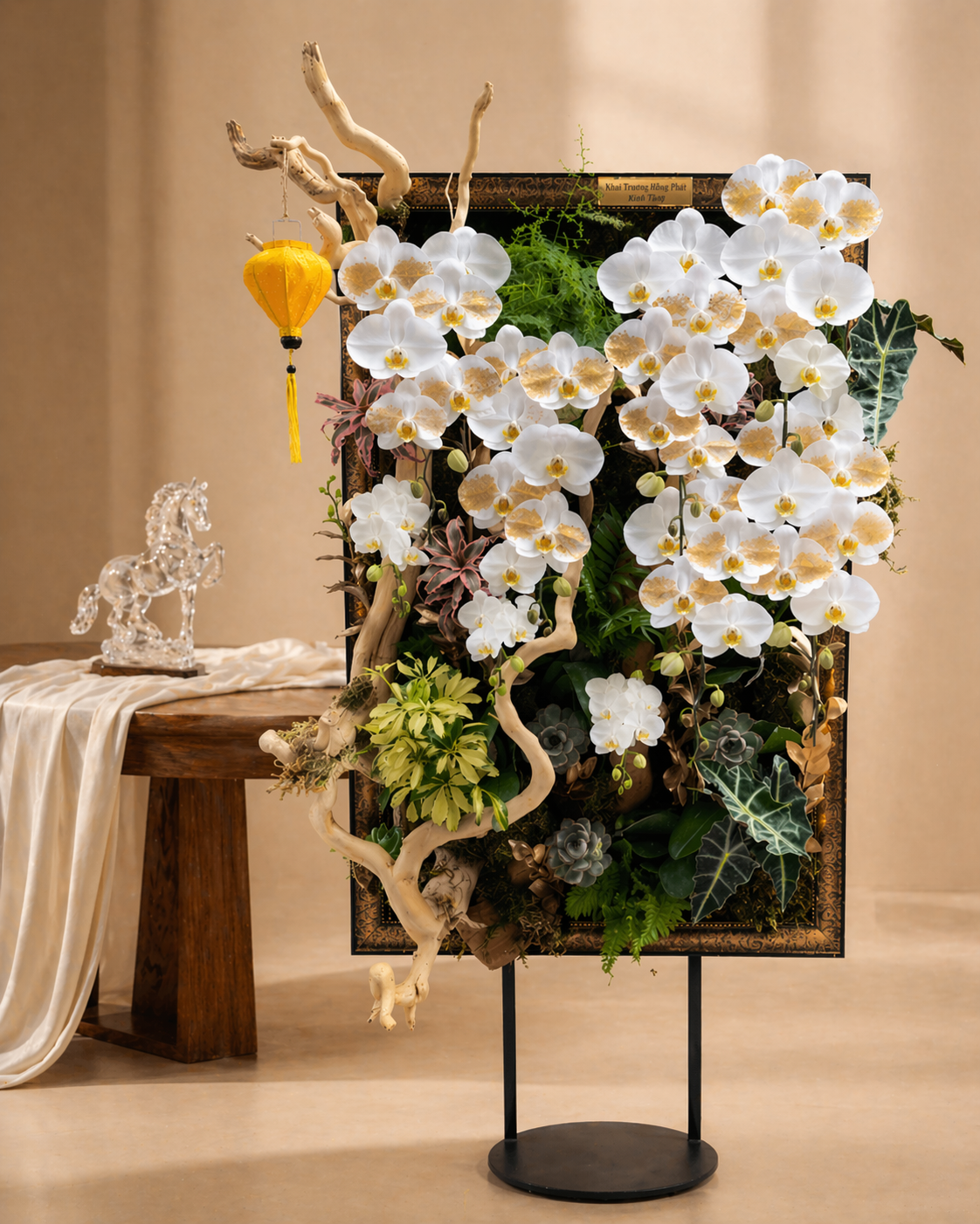 Orchid Collection (Lan Hồ Điệp)
