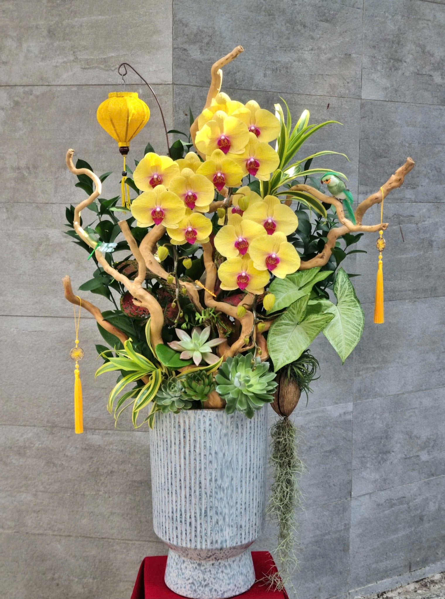 Eternal Orchid Bloom — HD267