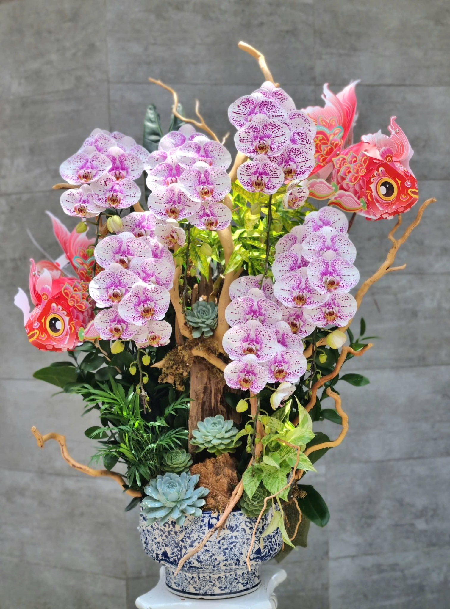 Orchid of Fortune — HD591