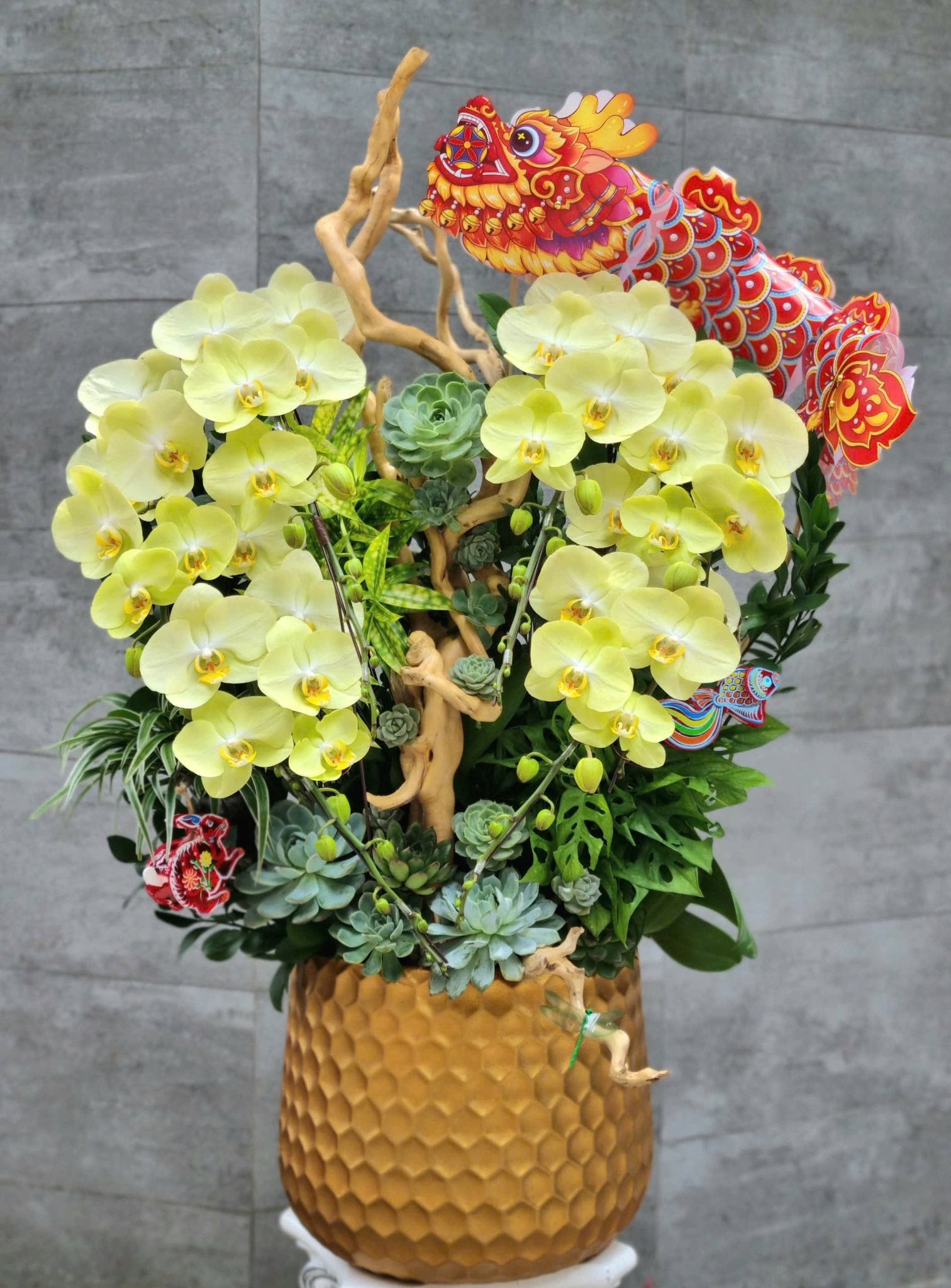 Timeless Orchid Beauty — HD476