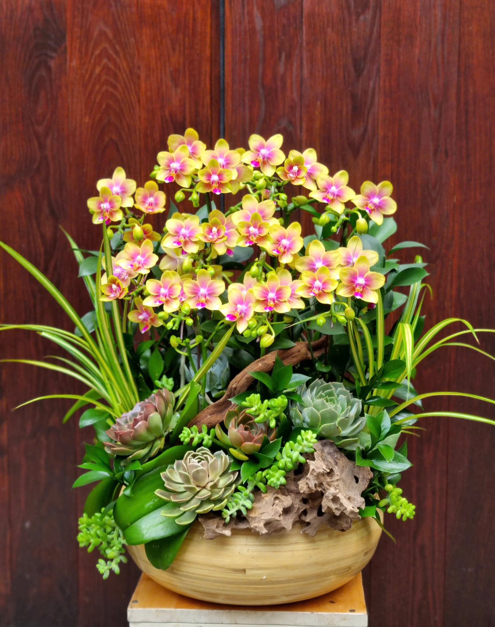 Royal Orchid Elegance — HD742