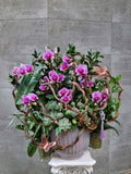 Prosperous Orchid Pot — HD154