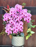 Golden Prosperity Orchid — HD315