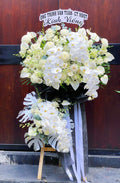 Forever Missed – KV06